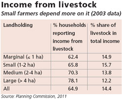 livestock 1